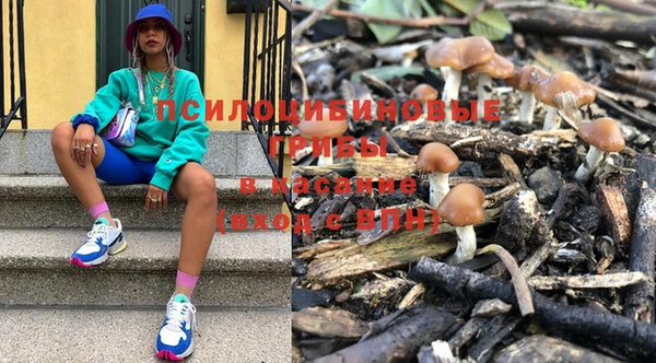 гашик Алзамай