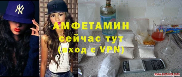 гашик Алзамай
