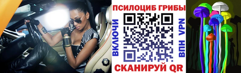 Псилоцибиновые грибы Psilocybine cubensis  хочу наркоту  Дедовск 