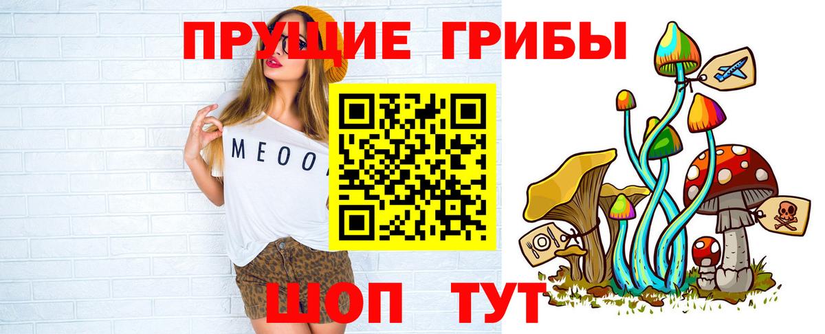Галлюциногенные грибы Cubensis  Вход с VPN  Дедовск 